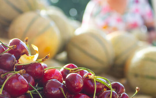 Carmaux : votre marché bouge