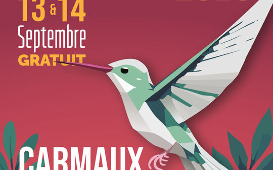 Nect'arts festival 2025, c'est parti !