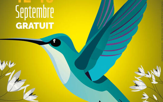 Nect'arts festival 2026, c'est parti !
