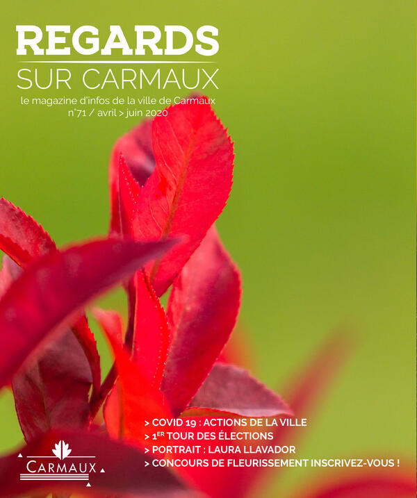 Publication: Magazine municipal // Regards sur Carmaux 71