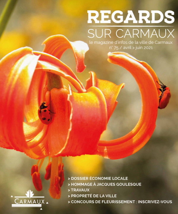 Publication: Magazine municipal // Regards sur Carmaux 75